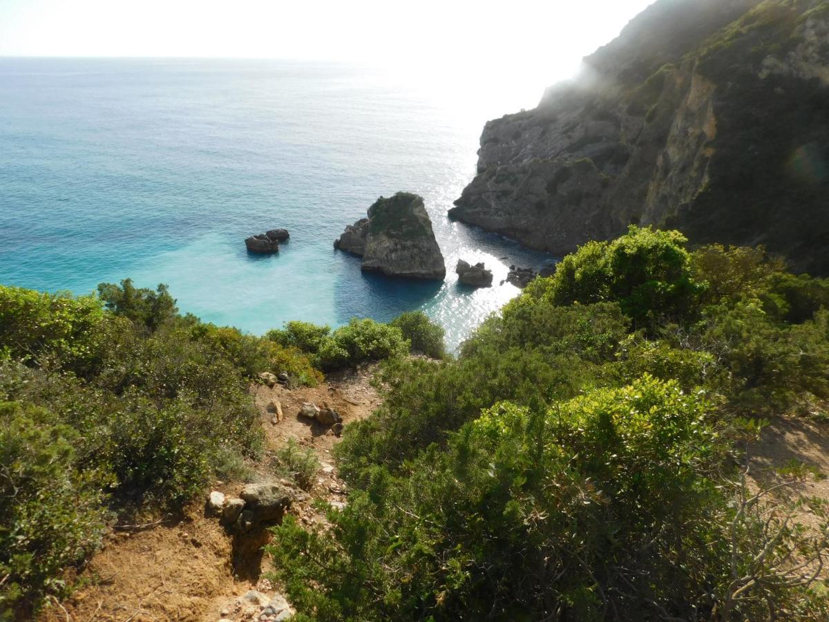 Casa Pausa Sesimbra Holiday Home المظهر الخارجي الصورة