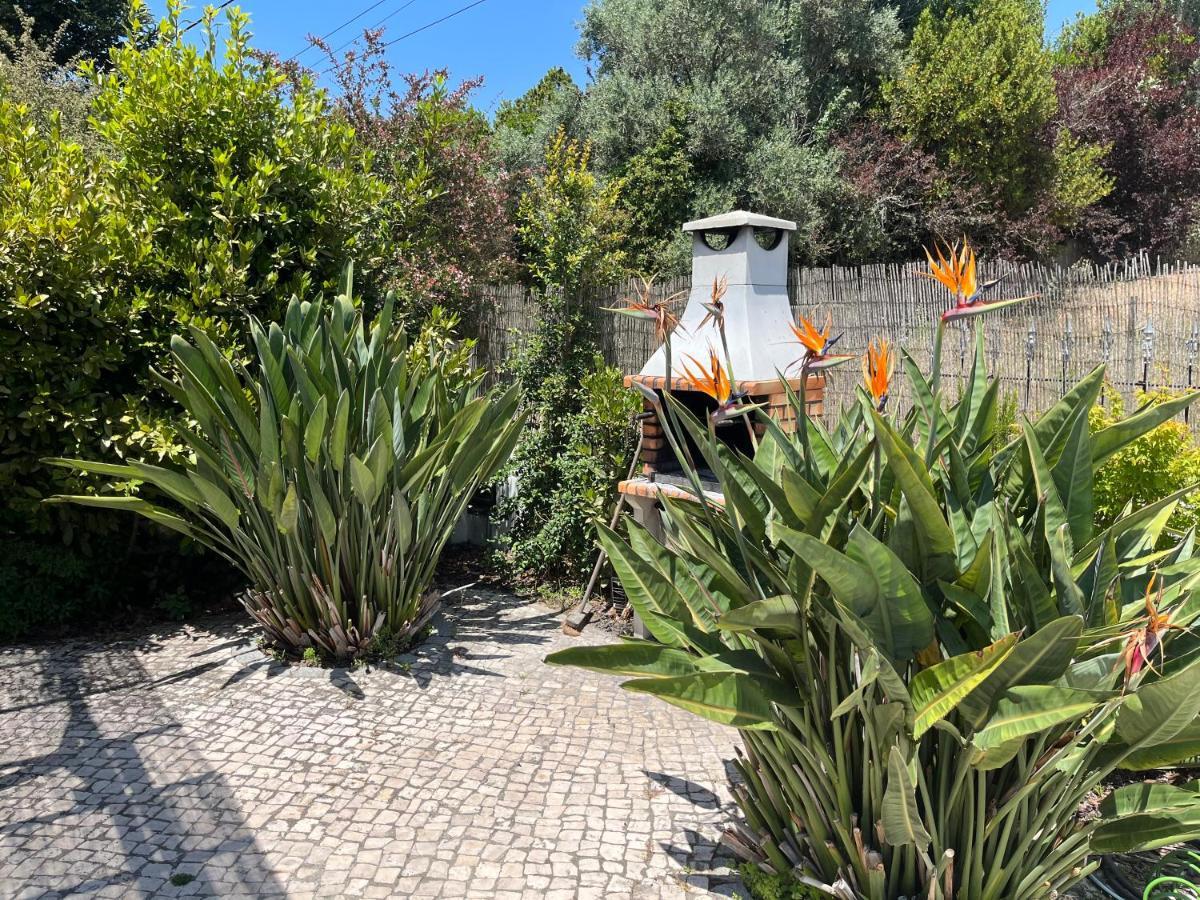 Casa Pausa Sesimbra Holiday Home المظهر الخارجي الصورة
